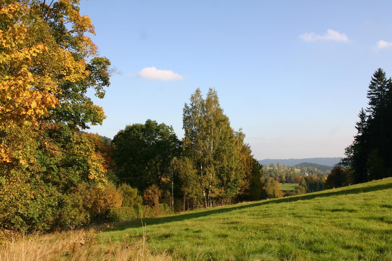 Jeleni Chata Skladanka Lučany nad Nisou 外观 照片
