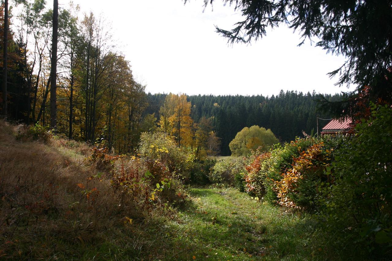 Jeleni Chata Skladanka Lučany nad Nisou 外观 照片