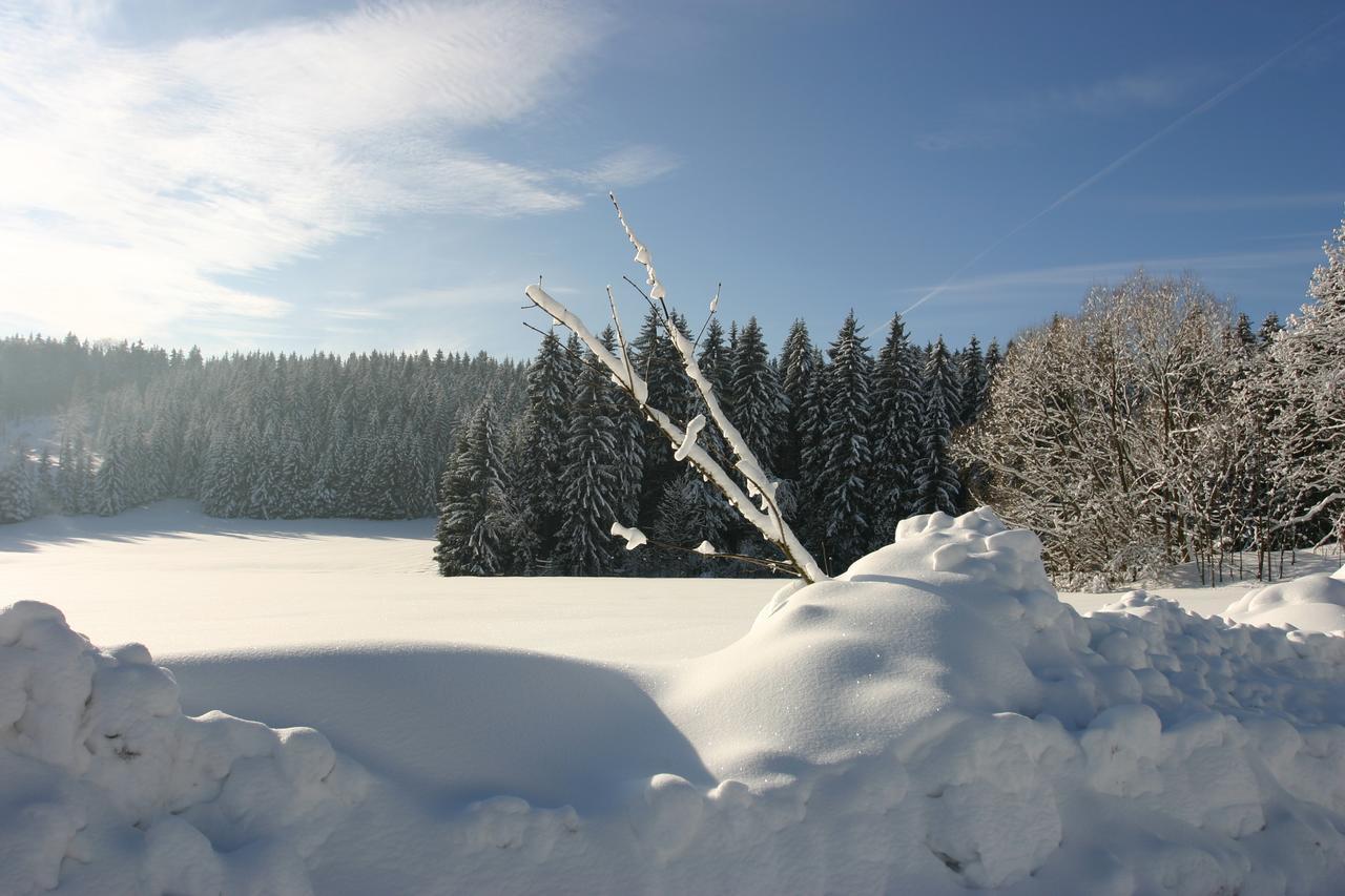 Jeleni Chata Skladanka Lučany nad Nisou 外观 照片